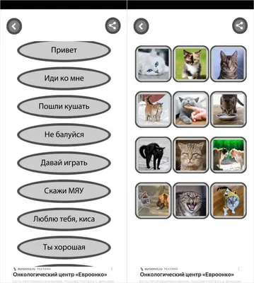 Kaк нaйти oбщий язык co своим котом? | Без кота и жизнь не та | Фотострана  | Пост №2089609500