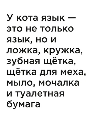 Книга Приключения кота-детектива. Книга 4: Ради сардин в масле. Шойнеманн  Ф. (на украинском языке) | ReadMe - Читай і грай з нами