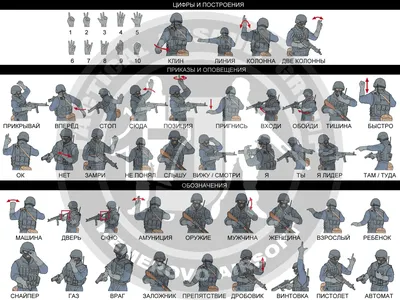 Купить постер (плакат) Язык жестов спецназа - Обозначения для интерьера