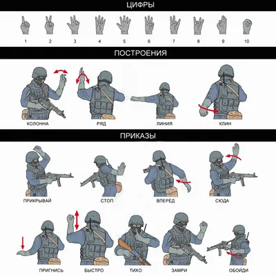 Купить постер (плакат) Язык жестов спецназа - Цифры, Построения, Приказы