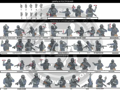 Тактико-специальная подготовка спецназа. | Всё про всё | Дзен