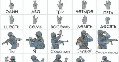 Swat Hand Signals (1 pic)