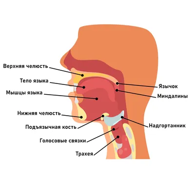 Почему болит язык, что делать, основные причины и как лечить