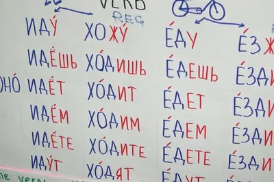 Как изменилось положение русского языка в мире за последние 30 лет | РБК  Тренды