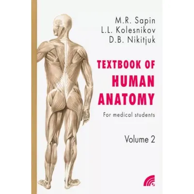  - Анатомия человека.Книга 2 (на англ. языке) | Сапин М.Р.,  Колесников Л.Л., Никитюк Д.Б. | 978-5-7864-0211-8 | Купить русские книги в  интернет-магазине.