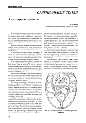 Язык - зеркало огранизма – тема научной статьи по языкознанию и  литературоведению читайте бесплатно текст научно-исследовательской работы в  электронной библиотеке КиберЛенинка