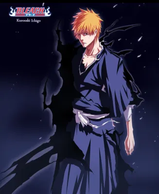 Ichigo and Rukia by ioshik on DeviantArt