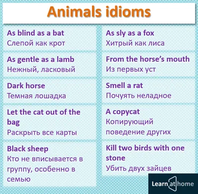 Идиомы в Английском Языке | Занятия по Изучению Английского Языка