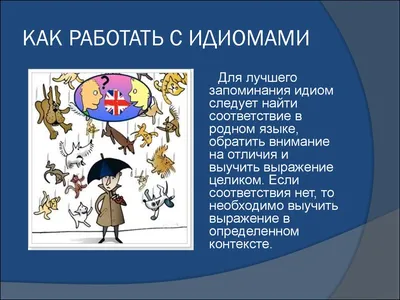 12 английских идиом, которые вы должны знать : Английский язык в ситуациях