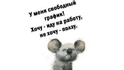 У меня свободный график! Хочу - иду на работу, не хочу - ползу. #анекдоты  #смехотерапия - YouTube