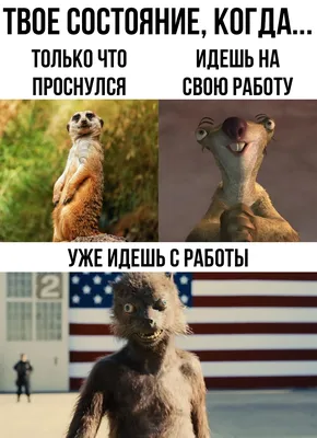 Комплексные работы. Иду во 2 класс. Задания на лето | Коваленко Евгений  Ефимович - купить с доставкой по выгодным ценам в интернет-магазине OZON  (952226565)