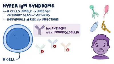 Immunoglobulin M (IgM)