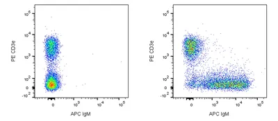 Panbio COVID-19 IgG/IgM Rapid Test | Abbott Point of Care