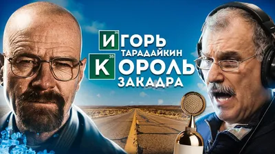 Игорь Тарадайкин. Как звучит ростовский говор? | Поговорим о Ростове. О  донском колорите, о людях, живущих в этом прекрасном городе и о тех, кто  его прославляет. Мастер дубляжа Игорь Тарадайкин тоже из... |