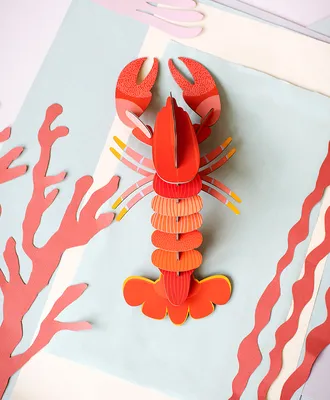 Настольная игра Рак | Lobster Fridolin 3D модель купить недорого в Украине,  Киеве, Днепре, Харькове, Одессе | Интернет-магазин настольных игр ИГРАРИУМ