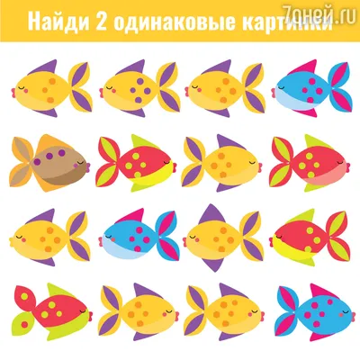 Найди Пару | Kids worksheets preschool, Pre writing activities, Fun  worksheets for kids