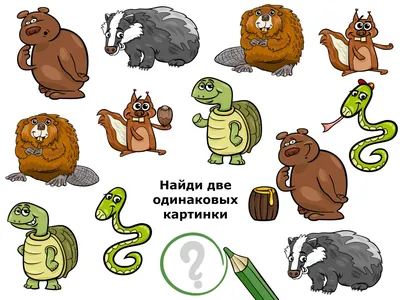 Игра «Найди две одинаковых картинки» (для детей 5-8 лет) с ответами для  детсадовцев школьников учащихся начальной школы 1 2 3 класс бесплатно  он-лайн скачать