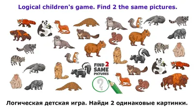 Найди Пару | Baby learning activities, Preschool worksheets, Free preschool  worksheets