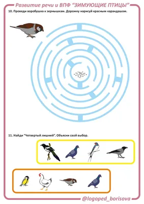 Лексическая тема "ЗИМУЮЩИЕ ПТИЦЫ" | Мио логопед Кристина Борисова | Дзен