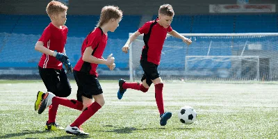 Правила футбола кратко по пунктам: основные моменты и как играть