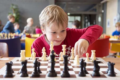 Шахматы для детей - какая польза, что развивают