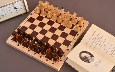 Набор 2 в 1 (шахматы, шашки) | Купить настольную игру (обзор, отзывы, цена)  в Игровед