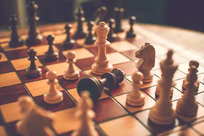 Бизнес-гамбит: пять причин научить сотрудников играть в шахматы :: РБК Pro