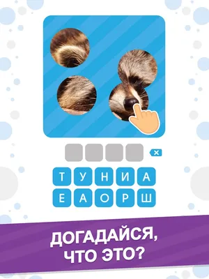 App Store: 101 Картинка : Фото Викторина