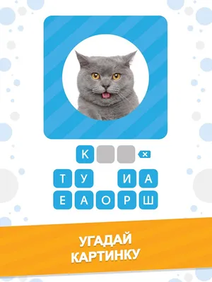 App Store: 101 Картинка : Фото Викторина