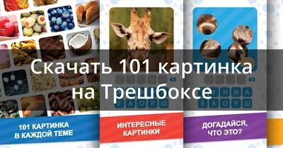 Отзыв о 101 Картинка: Фото Викторина - игра для Android | Как то слишком  легко