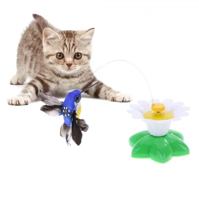 Игрушки для кошек — обзор популярных, критерии выбора