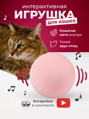 Электрическая игрушка-мяч для кошек, автоматическая вращающаяся Умная игрушка  для или животных, игрушки для тренировки котенка для домашнего  интерактивного использования | AliExpress