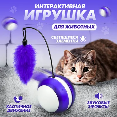 Мячики для кошек и собак. Комплект 5шт. Игрушки для кошек. Игрушки (мышки,  мячики) для кошек, котов, котят (ID#1451573567), цена: 75 ₴, купить на  