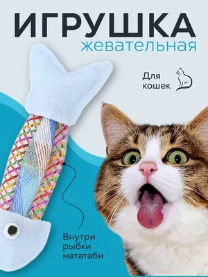 Hagen Catit Senses 2.0 игрушка для кошек кормушка-головоломка - купить в  Москве | КотМатрос