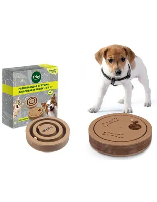 Мягкая игрушка для собак GiGwi дюраспайк-кабан, зеленый, желтый, голубой,  длина 33 см - отзывы покупателей на маркетплейсе Мегамаркет | Артикул  товара:100025531295