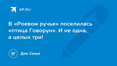 В «Роевом ручье» поселилась «птица Говорун». И не одна, а целых три! - 