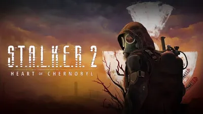 Игра S.T.A.L.K.E.R./STALKER/Сталкер состояние 05 (PC, Русская версия)  купить по низкой цене с доставкой в интернет-магазине OZON (646834475)