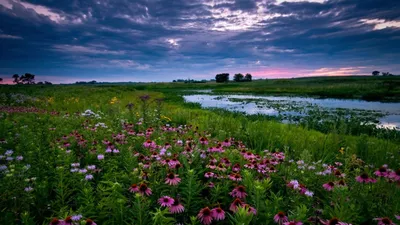 Фото: Июль...Протока. Залив солнечным утром!. Пейзажный фотограф ЛЕСНОЙ.  Природа. Фотосайт Расфокус.ру