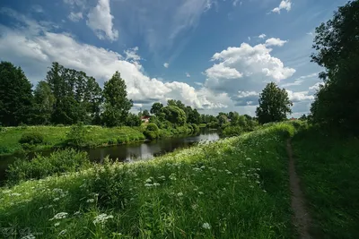 Тропинка в июль.... Фотограф Орлов Олег