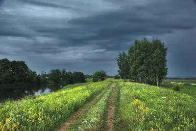 Фото: Июль...Церковные березы!. Пейзажный фотограф ЛЕСНОЙ. Природа.  Фотосайт Расфокус.ру