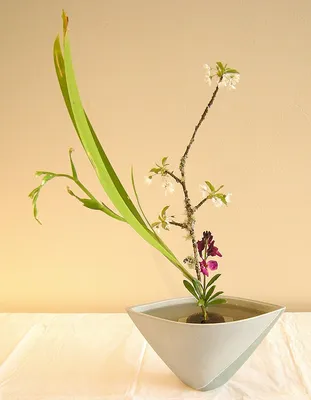 Икебана своими руками: 10+ мастер классов в домашних условиях | Modern  flower arrangements, Ikebana flower arrangement, Creative flower  arrangements