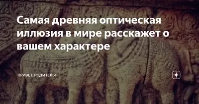 Оптическая иллюзия: найти за 30-секунд крысу среди котов - Главред