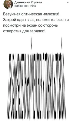 Купить оптические иллюзии. Сделай сам! Пес, цены в Москве на СберМегаМаркет