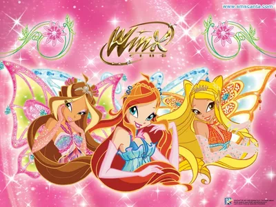 Winx-Школа волшебниц 9 сезон.Тайны и секреты что мы можем увидеть |  Спойлеры и теорий... | Дзен