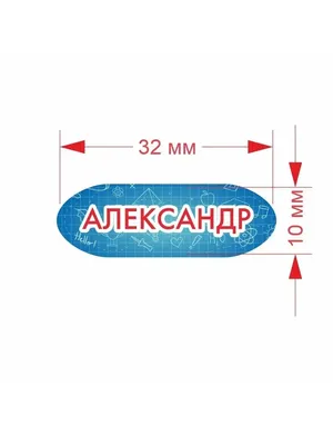 Наклейки с именами Александр 210х150 мм 68 штук, стикеры именные на  тетрадки, телефон, в садик или школу - купить с доставкой по выгодным ценам  в интернет-магазине OZON (203865285)