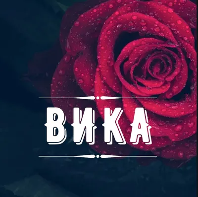 Имя Вика | Имена, Имена картинки, Картинки