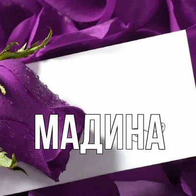 Логотип "Мадина" или "Медина" с английско-арабскими словами в одном дизайне  в черно-белых тонах Иллюстрация вектора - иллюстрации насчитывающей  концепция, английско: 156124446