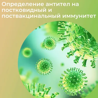 Ещё раз про иммунитет… — РЕСПУБЛИКАНСКИЙ ЦЕНТР УКРЕПЛЕНИЯ ЗДОРОВЬЯ И  МАССОВОЙ КОММУНИКАЦИИ