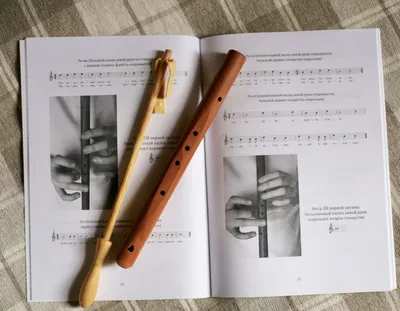 Китайские традиционные бамбуковые флейты Dizi, музыкальные инструменты для  начинающих, поперечные, народные, бамбуковые флейты, 6 пальцевых отверстий  C/D/E/F/G | AliExpress
