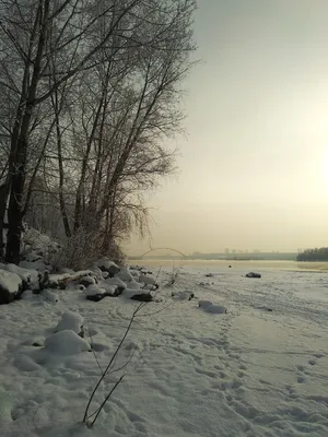 Иней на  / Лучшие сходства в начале